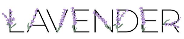 Lavender blossom violet little flower alphabet for design of card or invitation. Vector illustrations, isolated on white background for summer floral gesign - Vector, Image