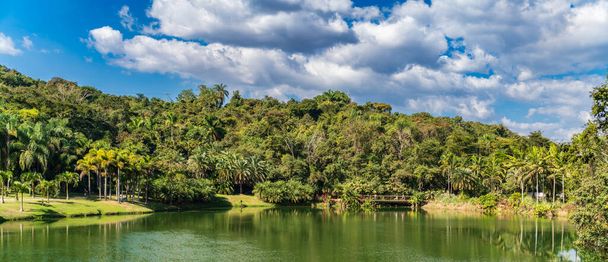 Lago tranquilo enclavado entre exuberante flora tropical. - Foto, Imagen