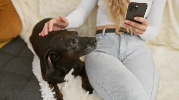 Blondýny žena mazlení pes při použití smartphone v útulném obývacím pokoji - Záběry, video