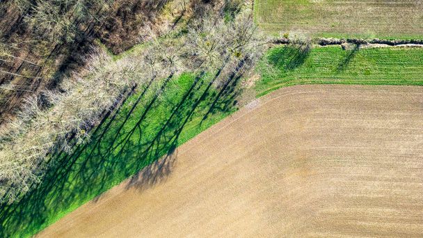Obraz ten przedstawia odgórny widok z lotu ptaka na pola uprawne, ukazujący uderzający kontrast między gruntami uprawnymi a sąsiednią linią drzew. Puste pola bogate w brązową glebę są starannie podzielone - Zdjęcie, obraz
