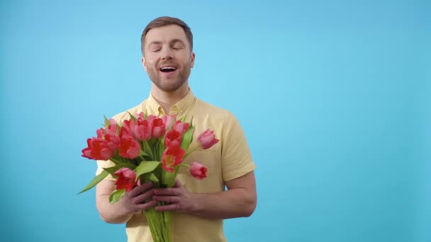 Young man with bunch of red tulips poses for the camera on blue background - Footage, Video