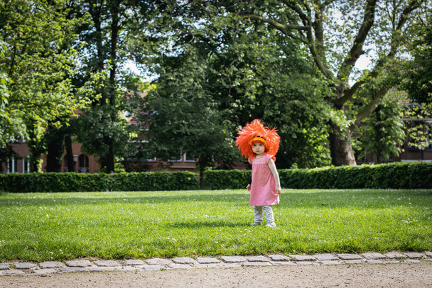 Un retrato de una hermosa niña caucásica con un vestido rosa con una peluca roja de bandera belga en la cabeza se encuentra a la derecha en el césped en un parque de la ciudad en un día de verano y mira a la cámara, vista lateral de cerca con espacio para copiar a la izquierda. - Foto, Imagen
