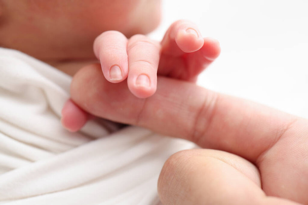 Κοντινό πλάνο του babys μικρό χέρι, το κεφάλι, το αυτί και την παλάμη της μητέρας Macro Φωτογραφία του νεογέννητου μωρού μετά τη γέννηση σφιχτά κρατώντας το δάχτυλο των γονέων σε λευκό φόντο. Οικογενειακή και οικιακή έννοια. Παιδιατρική υγεία - Φωτογραφία, εικόνα