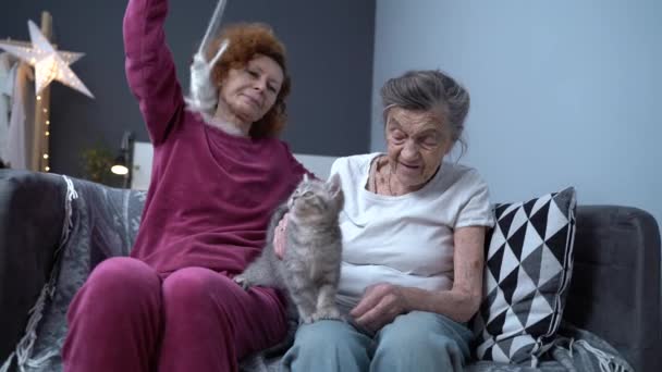 Önkéntes asszisztens használ cica -hoz tökéletesít hangulat és fizikai állapot -ból női idősebb beteg -ban idősek otthonában. Öreg nagymama és érett lánya játszik kis macska játék ül a kanapén. - Felvétel, videó