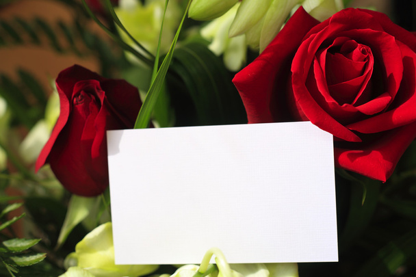 červené růže, orchideje a prázdné vizitky - Fotografie, Obrázek