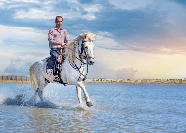ember lovaglás és a stallion a strandon - Fotó, kép