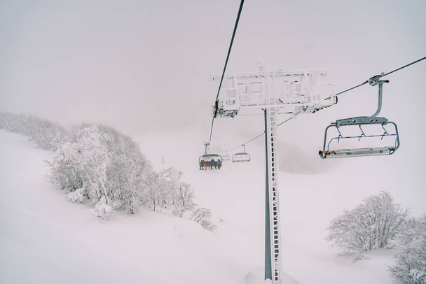 Tuoli hiihtäjiä ratsastaa yli lumen peitossa puita usvainen vuori. Laadukas kuva - Valokuva, kuva