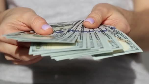 Dívka drží dolary ve svých rukou a počítá zblízka, obchod a finance, peníze - Záběry, video