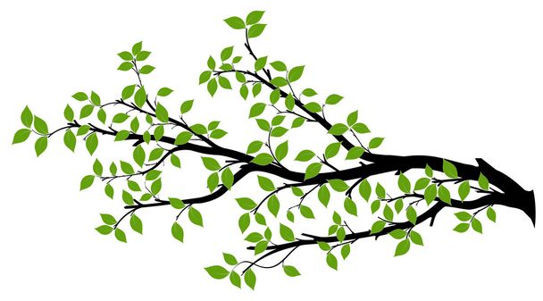 Δέντρο υποκατάστημα σιλουέτα, διανυσματικά γραφικά - Διάνυσμα, εικόνα