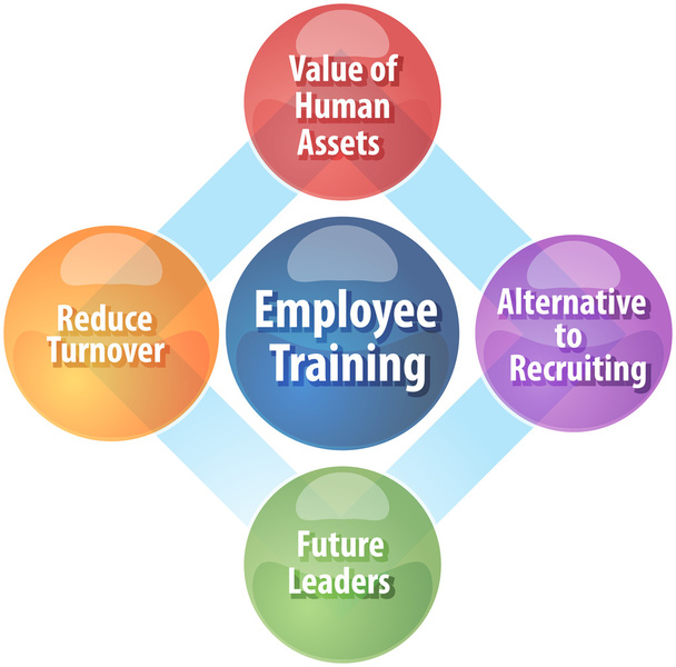 Ilustración del diagrama de negocio de formación de empleados
 - Foto, imagen
