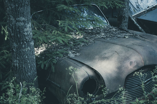 Une vieille voiture rouille au milieu d'une forêt dense, entourée d'arbres et de végétation envahie. Le véhicule semble avoir été abandonné pendant des années, la rouille recouvrant son extérieur et la nature récupérant lentement son espace. - Photo, image