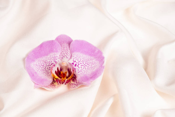 Eine Orchideenblume auf zerknittertem Bettzeug. Frauengesundheitskonzept - Foto, Bild