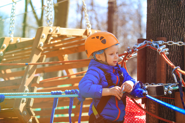 little boy climbing in adventure activity park - 写真・画像