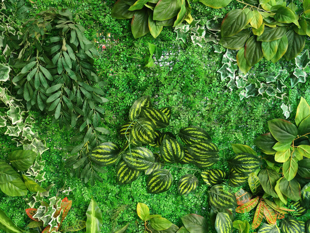 giardinaggio interno verticale con piante artificiali close-up, concetto di eco-design. - Foto, immagini