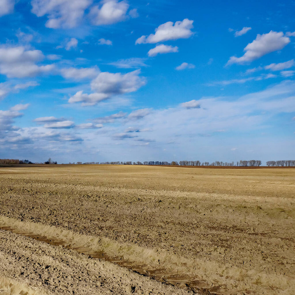 The field is barren and the sky is cloudless. - Photo, Image