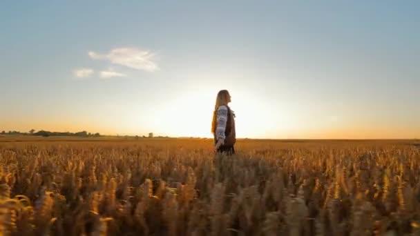 サンセットのウィートフィールドの女性,日没中に広大な小麦畑に一人で立っている伝統的な服装の女性 - 映像、動画