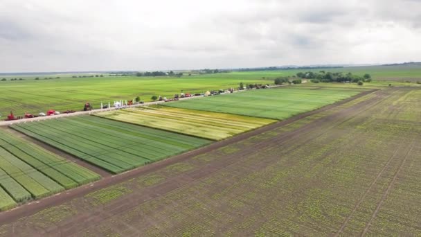 Vista aérea de pruebas de campo agrícola, ensayos de cultivos variados en un campo agrícola con maquinaria y asistentes - Metraje, vídeo