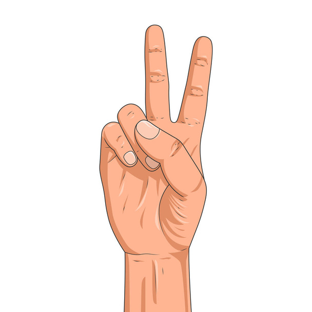 Main avec deux doigts dans le symbole de paix. Isolé sur fond blanc. Signe de paix. Illustration vectorielle - Vecteur, image