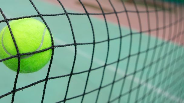 Tennis ball in net - 写真・画像