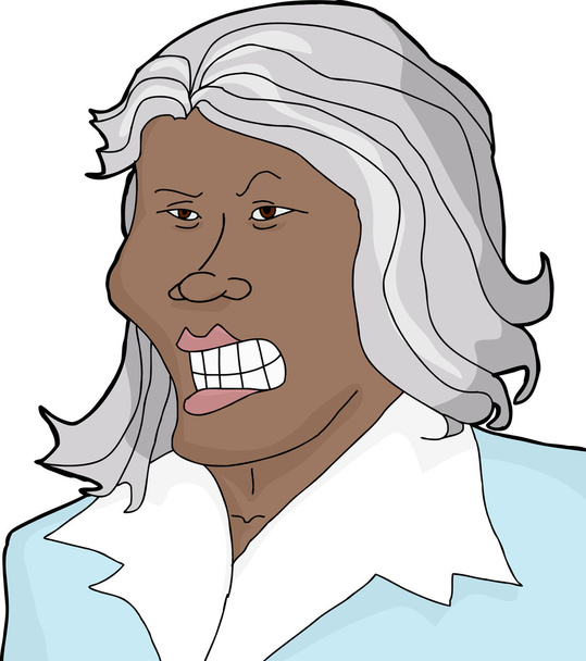 Mad Woman with Gray Hair - Vector, Image