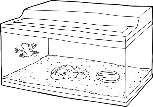 Outline of Frog in Fish Tank - Vector, Image