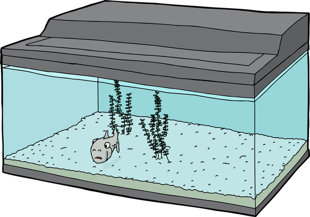 Peces individuales en acuario
 - Vector, imagen