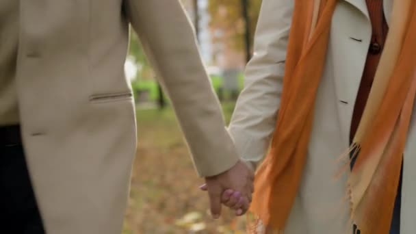 Paar gepensioneerde mannelijke vrouw hand in hand wandelen in de herfst natuurpark Kaukasische jaren 60 vrouw man gelukkig familie armen vasthouden lopen buiten tedere relaties ondersteunen liefde op hoge leeftijd gaan samen in de stad - Video