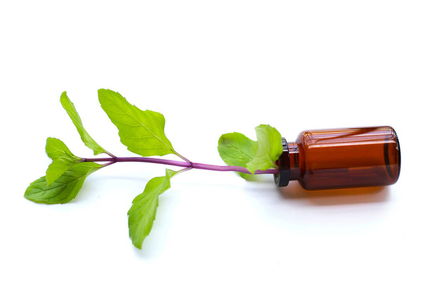 Fresh mint leaves with brown bottle on white background. - Photo, Image