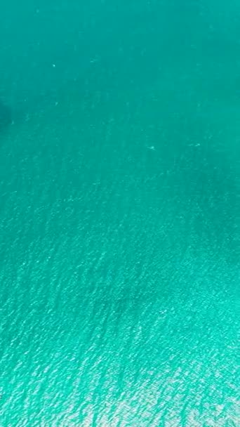 Luchtfoto van turquoise zeewater. Blauwe lagune wateroppervlak. Borneo, Maleisië. Verticale video. - Video