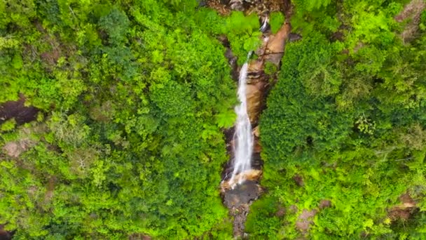Водопад в тропическом лесу. Шри-Ланка. - Кадры, видео
