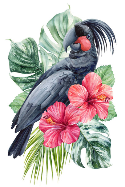 Чорний папуга, квіти і пальмове листя, красива гібіскус, какао ізольовані на білому тлі. Акварельний малюнок рук Ботанічний живопис. Високоякісна ілюстрація - Фото, зображення