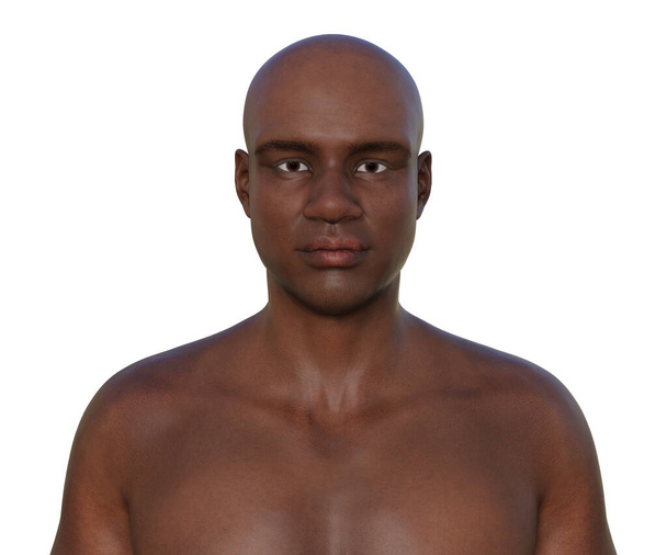 Een 3D fotorealistische illustratie met het portret van een Afrikaanse man, zelfverzekerd kijkend naar de camera, die de ingewikkelde details van zijn huid, gezicht en lichaamsanatomie onthult. - Foto, afbeelding