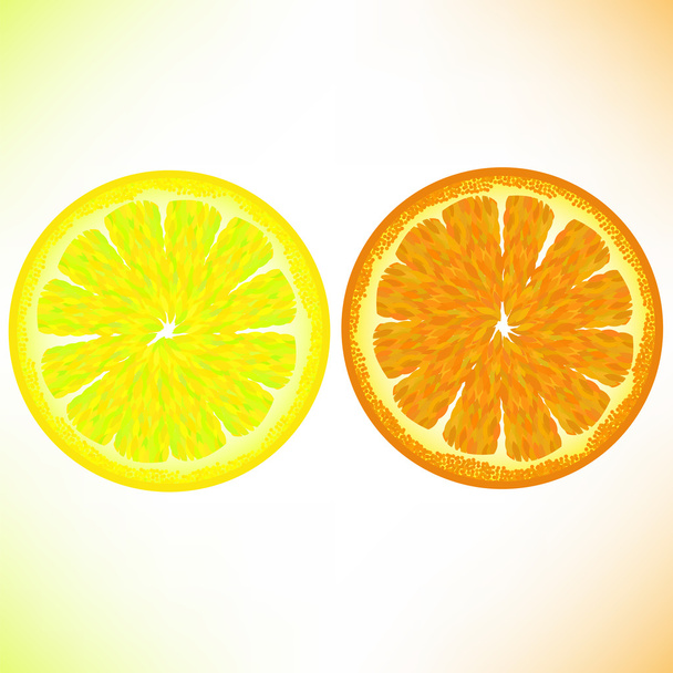 Lemon and Orange - Vector, Image