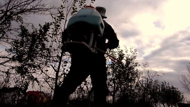 Jardinero pulverización con cobre para la protección de los árboles frutales
 - Metraje, vídeo