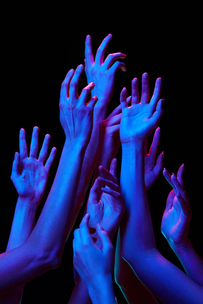 Siyah stüdyo arka planına karşı çok renkli neon ışıklarla birbirine uzanan iyi hazırlanmış hassas ellerin fotoğrafı. İnsan dokunuşu, güzellik ve bakım kavramı, spa prosedürleri. - Fotoğraf, Görsel
