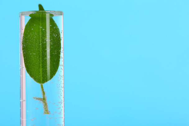 Green leaf in test tube on color background - Fotó, kép
