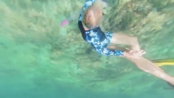Snorkeler, Mirbat kasabası Zhofar bölgesindeki Umman 'da bulunan Çin enkazı bölgesinde berrak tropikal sularda canlı mercan oluşumlarının yakınında dalıyor.. - Video, Çekim