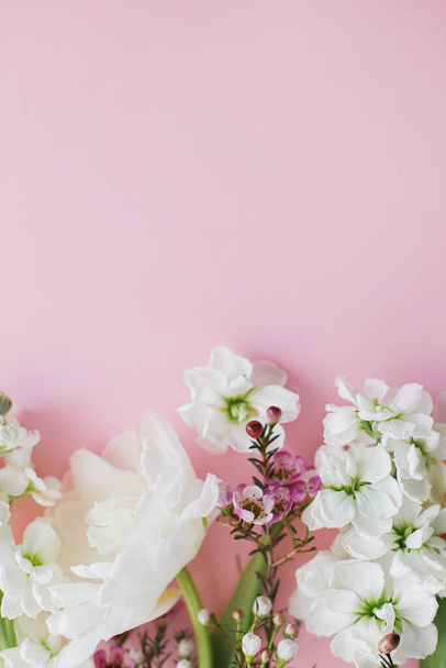Χαρούμενη Μέρα Μητέρας και Ημέρα Γυναίκας. Κομψό λευκό λουλούδια επίπεδη θέσει σε ροζ φόντο, χώρο για κείμενο. Όμορφη τρυφερή τουλίπες και άνοιξη σύνορα λουλούδια, πρότυπο ευχετήρια κάρτα. Φλοράλ σημαία - Φωτογραφία, εικόνα