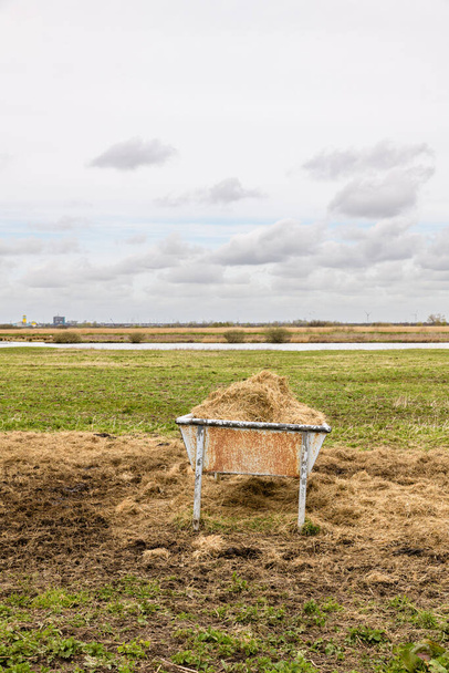 A feeding trough filled with hay stands in a field on the island Goeree-Overflakkee in the southwest of The Netherlands. - Photo, Image