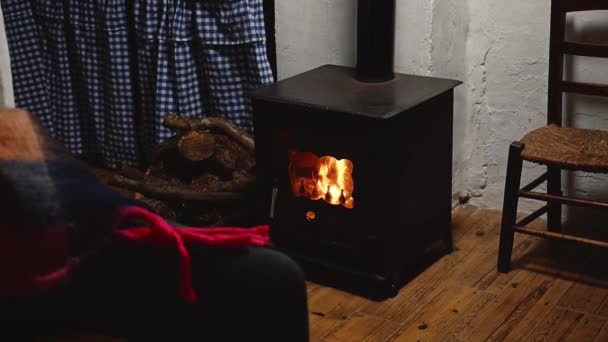 Старомодна чорна чавунна піч нагрівання деревини з полум'ям палаючих колод, за скляними дверима, плетений ковдра на дивані на передньому плані. Дизайн інтер'єру сільського заміського будинку з каміном - Кадри, відео