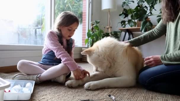 γιαγιά και εγγονή, βάζοντας τσιρότο στο σκύλο, παίζοντας τον κτηνίατρο στο σπίτι - Πλάνα, βίντεο