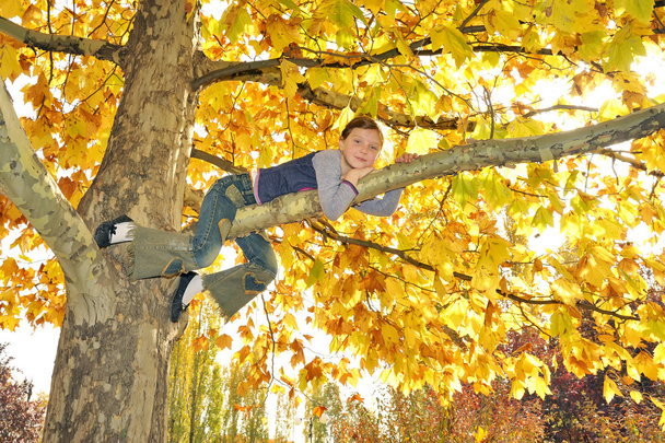 meisje klom op boom - Foto, afbeelding