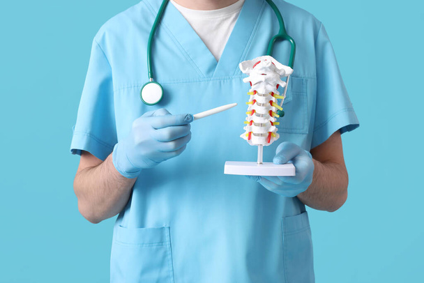 Male doctor demonstrating spinal anatomy with vertebral column model on blue background - Φωτογραφία, εικόνα