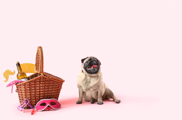 Cute pug dog with wicker basket and decor for Purim holiday on pink background - Photo, Image