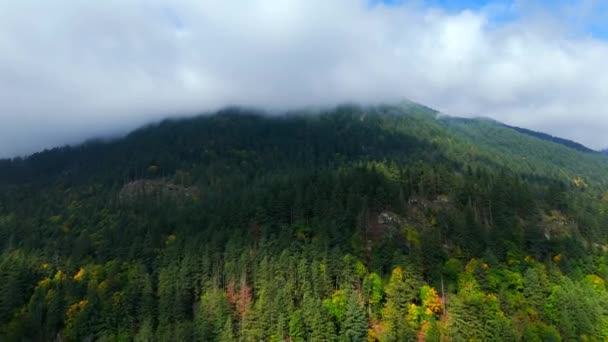 Stunning autumn landscape in Canada, British Columbia . Aerial view of colourful forest on mountain slopes and cloudy sky.  - Footage, Video