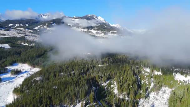 Dağ yamaçlarında sis olan yeşil ağaçların havadan görünüşü. Kanada kayalık dağ manzarası Britanya Kolumbiyası, Kanada 'da karla kaplandı. - Video, Çekim