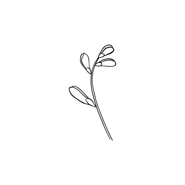 Розкішна квітка і логотип. Модний ботанічний елемент. Рука намальована лінія залишає гілку і цвіте. Весільний елегантний дикий квітка для запрошення зберегти листівку дати. Векторні ілюстрації на білому тлі - Вектор, зображення