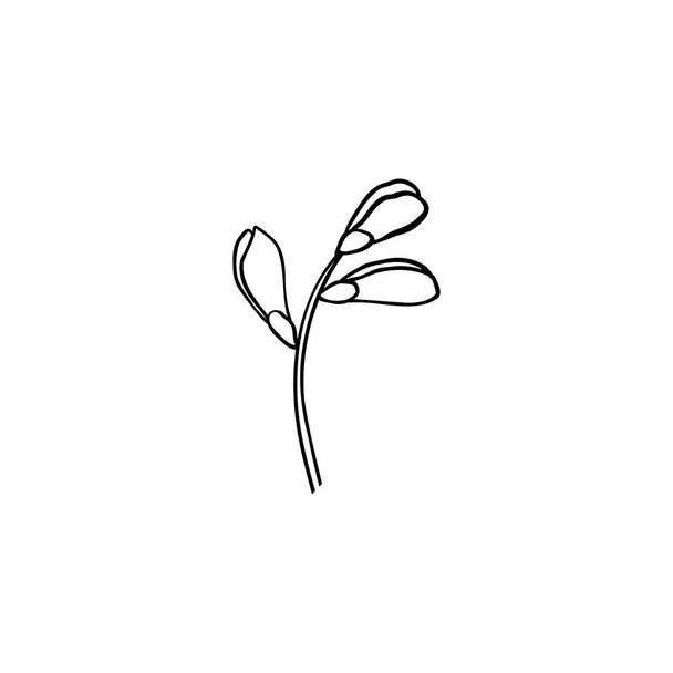 Lüks çiçek ve logo. Son moda botanik öğesi. El çizimi çizgi ayrık dal ve çiçek. Davetiye için zarif kır çiçeği. Randevu kartını sakla. Beyaz arkaplanda vektör illüstrasyonu - Vektör, Görsel