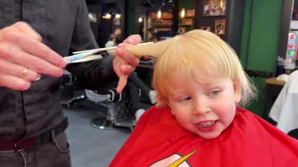 Homme coiffeur couper les cheveux des petits garçons en utilisant peigne et ciseaux. Un enfant qui se fait couper les cheveux par un homme adulte, probablement un coiffeur. Coiffeur professionnel et client mignon au salon de coiffure moderne. - Séquence, vidéo