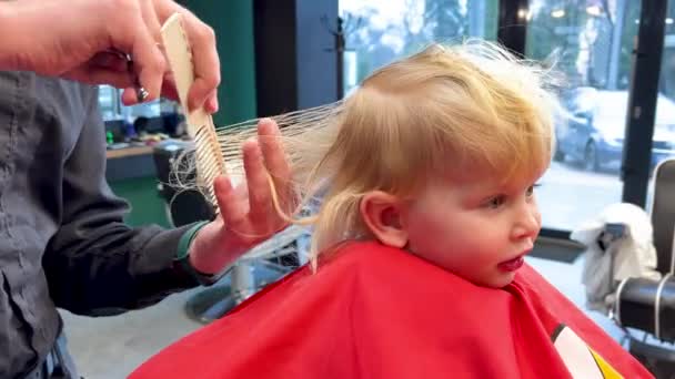 Mann schneidet kleinen Jungen Haare mit Kamm und Schere. Kind bekommt Haarschnitt von erwachsenem Mann, wahrscheinlich Friseur. Professioneller Friseur und süßer Kunde im modernen Friseursalon. - Filmmaterial, Video